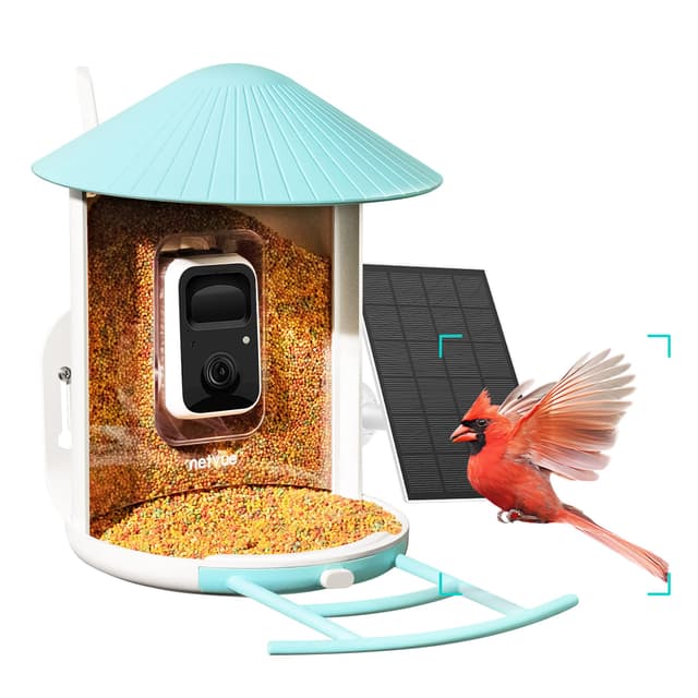 Netvue Birdfy Vogelfutterhaus mit Kamera und Kostenloser KI Vogelerkennung