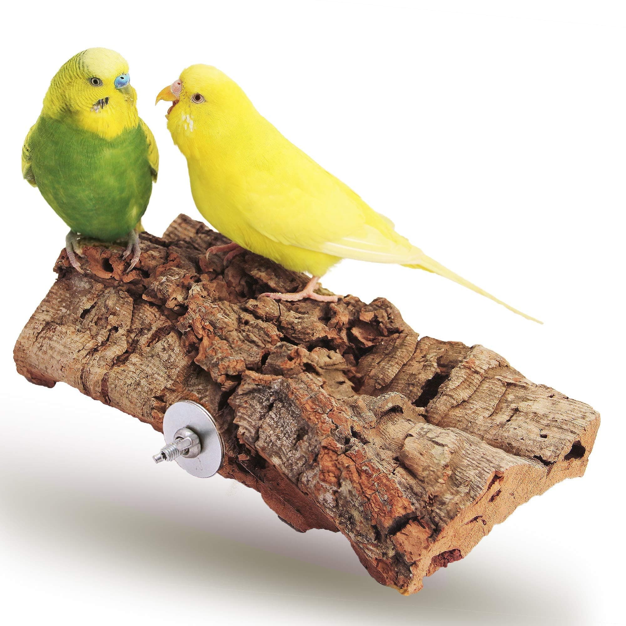 Vogelgaleria® Tolles Korksitzbrett groß für Vögel 🐦 | Wellensittich Kork Sitzbrett 20x10 cm 🌿