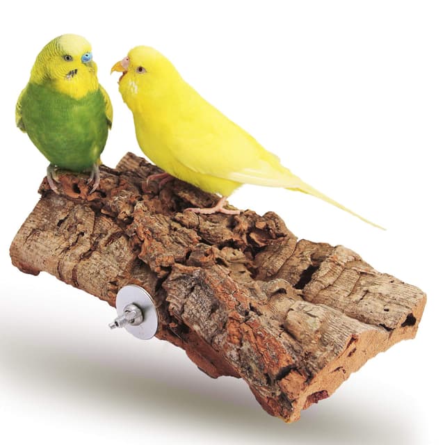 Vogelgaleria® Tolles Korksitzbrett groß für Vögel 🐦 | Wellensittich Kork Sitzbrett 20x10 cm 🌿