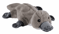 🔥 Tolle Aktion! Warmies® Wärmekissen/Stofftier 'Schnabeltier' 35cm 800g 🐾 Angebot bei HelloDeals