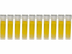 🐜🍯 Insekten - Ameisen - Honigtau-Mix 2ml Futterröhrchen - 10 St. 🍯🐜 Angebot bei HelloDeals
