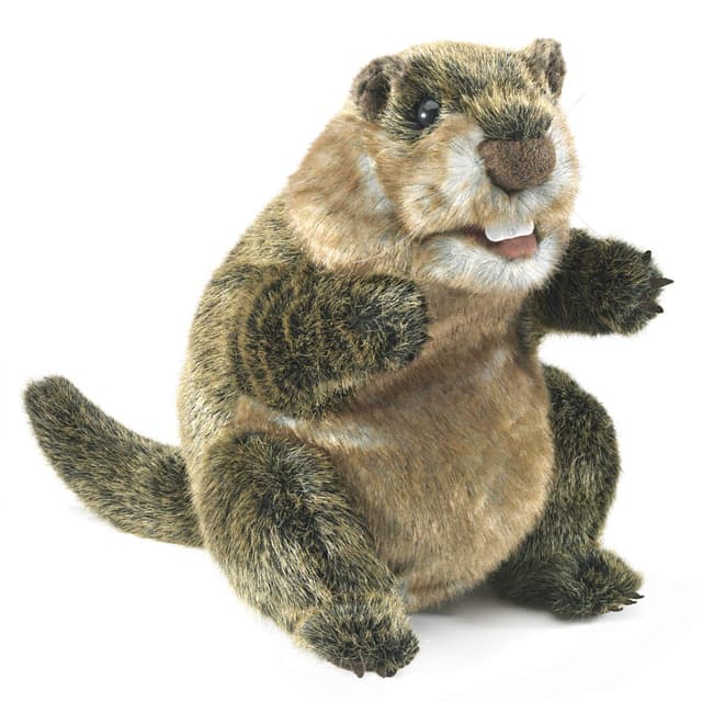 🎭 Folkmanis Handpuppe Murmeltier 3169 - Spielideen und Spaß 🎉