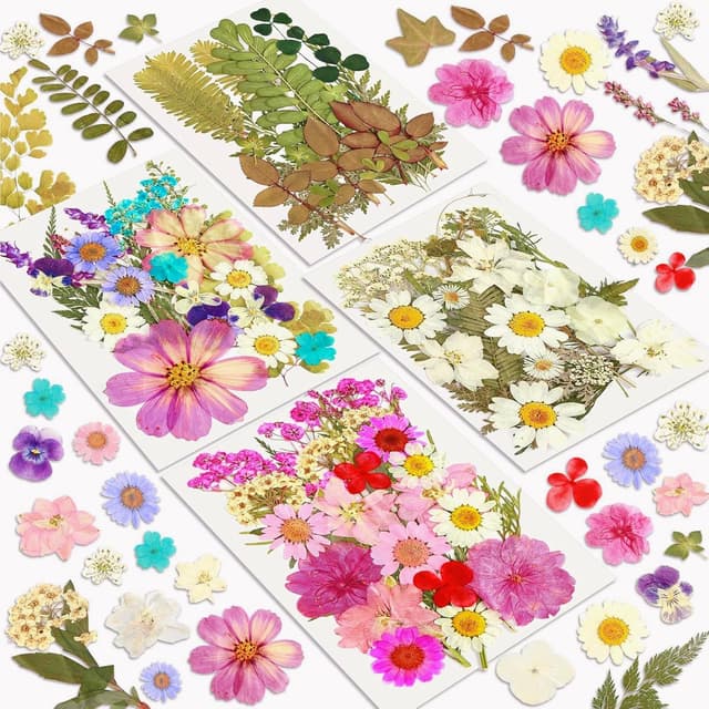 🌸 Resiners 100 Stück Farben Getrocknete Blumen Natürliche Gepresste Getrocknete Blumen Blätter 🍃