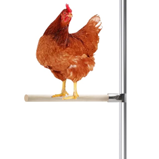 4 Stück Hühner Sitzstangen Set 🐓 Hühnerstall Zubehör