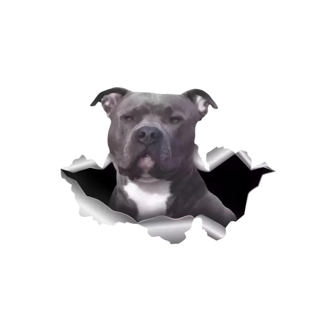 Autoaufkleber Pit Bull Terrier 3D Zerrissen Hund Aufkleber 15cm