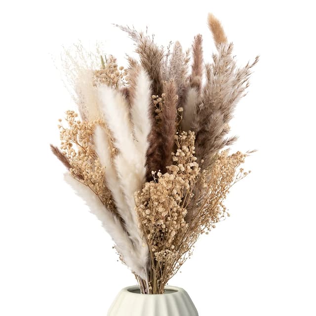 🌾 Trockenblumen Strauß mit echtem Pampasgras und Eukalyptus 🌿 Getrocknete Blumen Deko Wohnzimmer 🌺 Boho Blumenstrauß aus getrockneten Naturprodukten