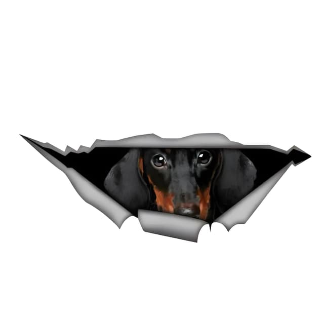 🚗🐶 Autoaufkleber Dackel Aufkleber 18cm(7.1 Inch) Dachshund Car Sticker 3D Zerrissen Autoaufkleber