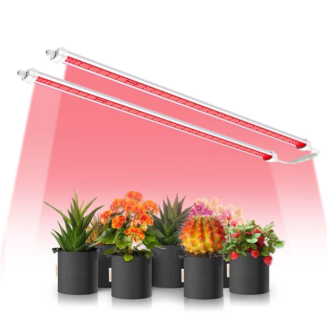 Spider Farmer LED Pflanzenlampe GlowR80 🌱🌺🔆