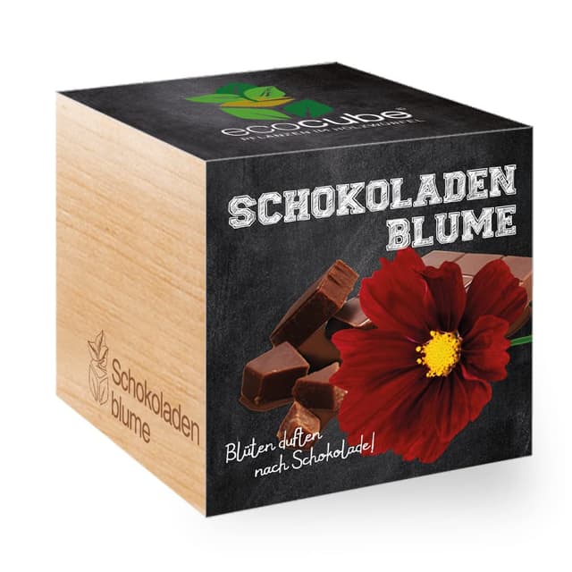 🌿🍫 Feel Green 296251 Ecocube Schokoladenblume - Nachhaltige Geschenkidee