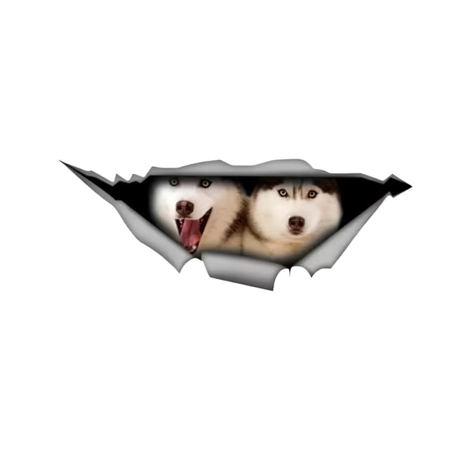 Autoaufkleber Husky Aufkleber 15cm(5.9 Inch) Husky Car Sticker Schlittenhund 3D Zerrissen Reflektierende Autoaufkleber