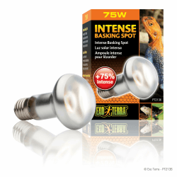🌞 Exo Terra Intense Basking Spot Wärmespotlampe R20 75W Angebot bei HelloDeals
