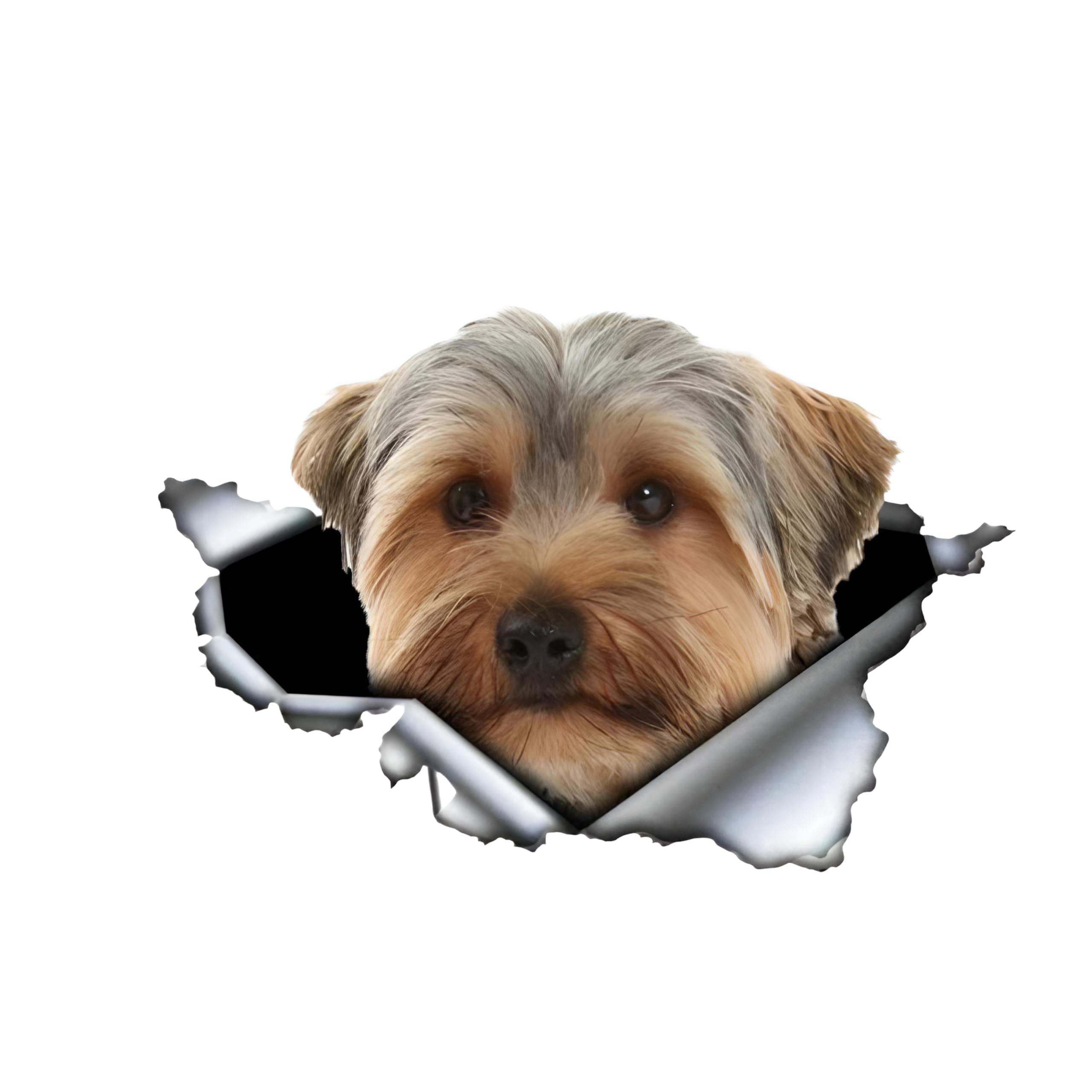 Autoaufkleber 25cm Yorkshire Terrier Aufkleber 🐶