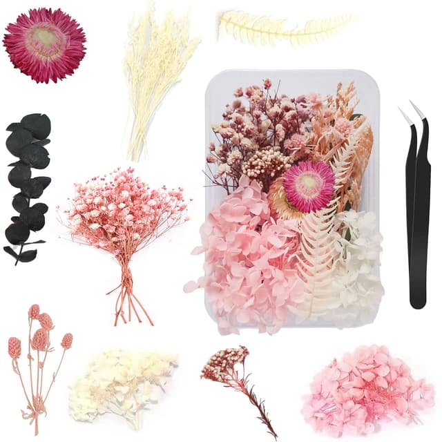 Catelves Trockenblumen Set 🌸 DIY Dekoration und Basteln