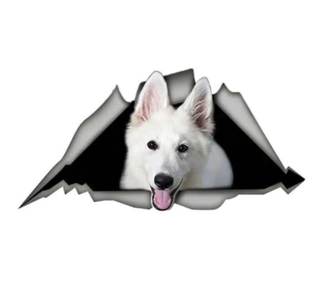 Autoaufkleber 15cm Weißer Deutscher Schäferhund 🐕🚗