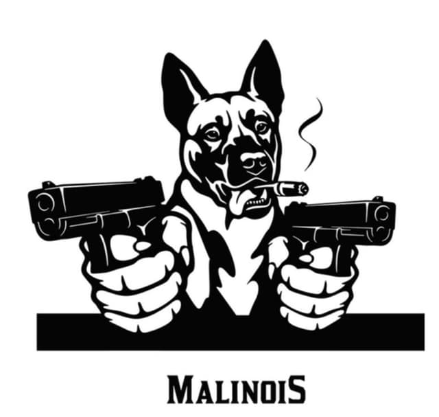 Autoaufkleber 22cm Schwarz Belgische Malinois Aufkleber 🐶🚗