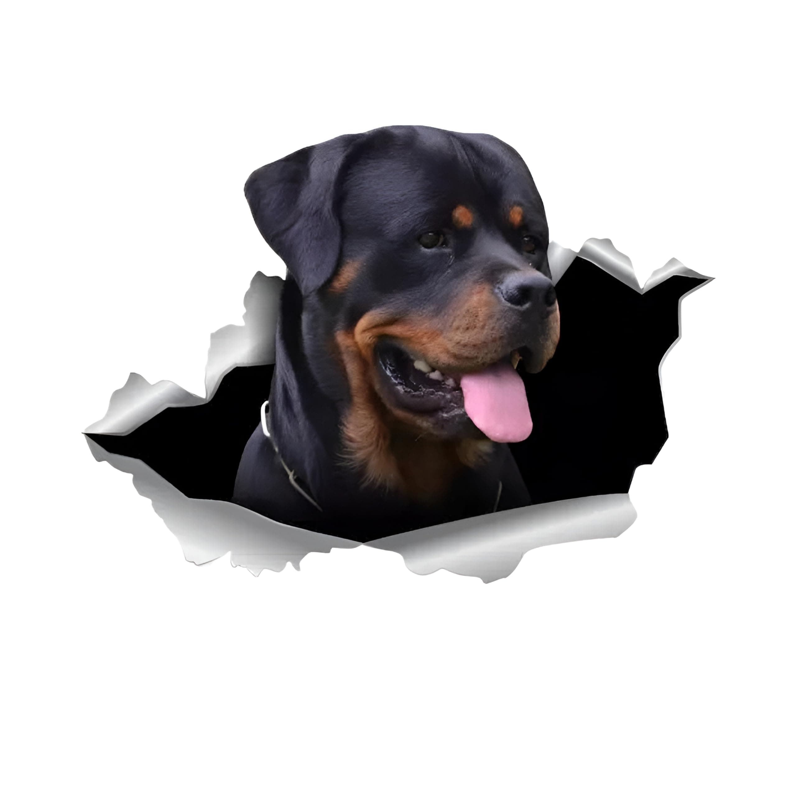 🐕 Autoaufkleber Rottweiler 15cm - Lustige Hundeaufkleber