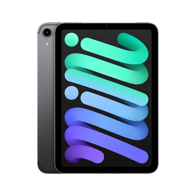 📱 2021 Apple iPad mini (8,3-Zoll, Wi-Fi + Zellular, 64GB) - Space Grau (Generalüberholt) 🚀
