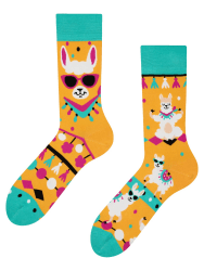 Dedoles Lustige Socken Unisex Damen Herren & Kinder 🧦🦙 Angebot bei HelloDeals