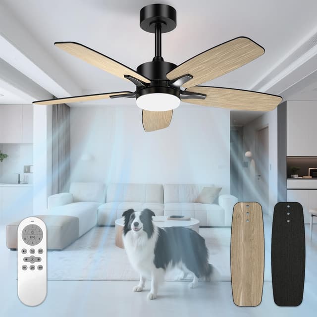 Mefine Deckenventilator mit Beleuchtung und Fernbedienung 🌬️💡