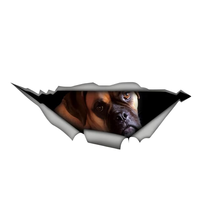 Autoaufkleber Boxer Hund 15cm Lustig 3D Zerrissen Haustier Hund Dekor