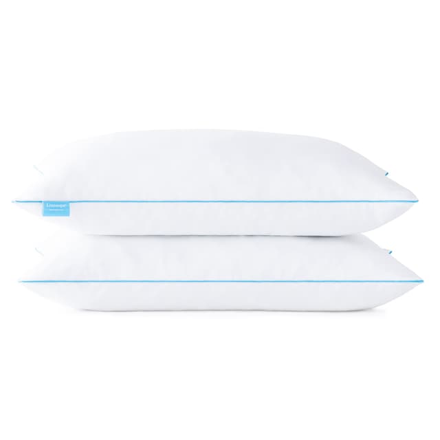 🌟 Angebot! Linenspa 40x60 cm Kopfkissen – 2er Set 🌟