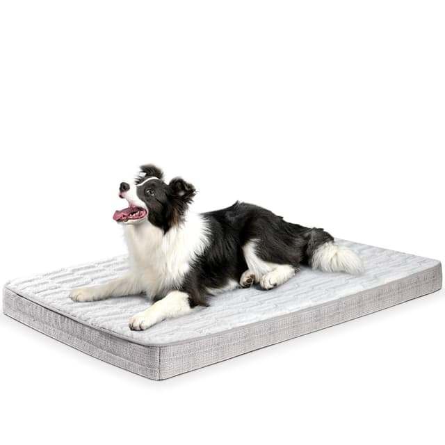 🐶🛏️ Baodan Extra großes Hundebett waschbar, orthopädische Hundebetten - Hellgrau-orthopädische