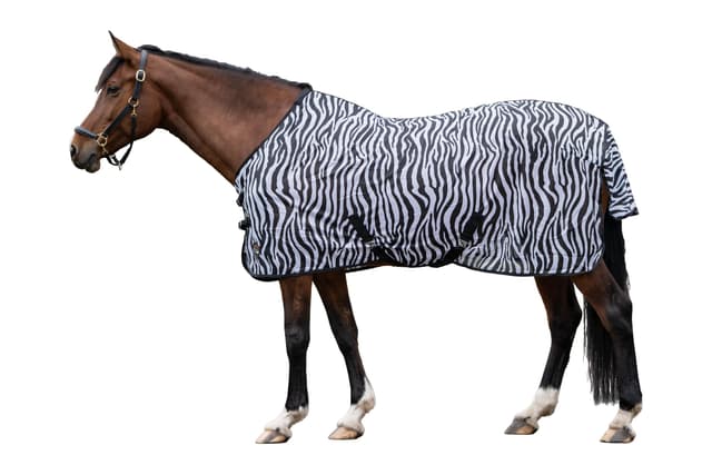 🦓🐎 HKM 4668 Fliegendecke Zebra mit Kreuzgurt, Pferdedecke Weidedecke, 155 Weiß/Schwarz 155 Angebot!