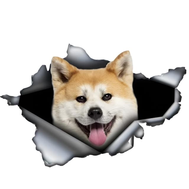 Autoaufkleber 25cm Akita Hund Aufkleber 🐶