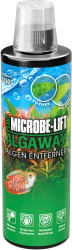🌿🐠 MICROBE-LIFT Algaway - 473 ml - Algenvernichter - Schnelle & effektive Algenbekämpfung! Angebot bei HelloDeals