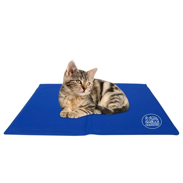 🐶😺 Bravpet Kühlmatte für Haustiere - Selbstkühlendes Pad für Katzen und Hunde (M) 🐾