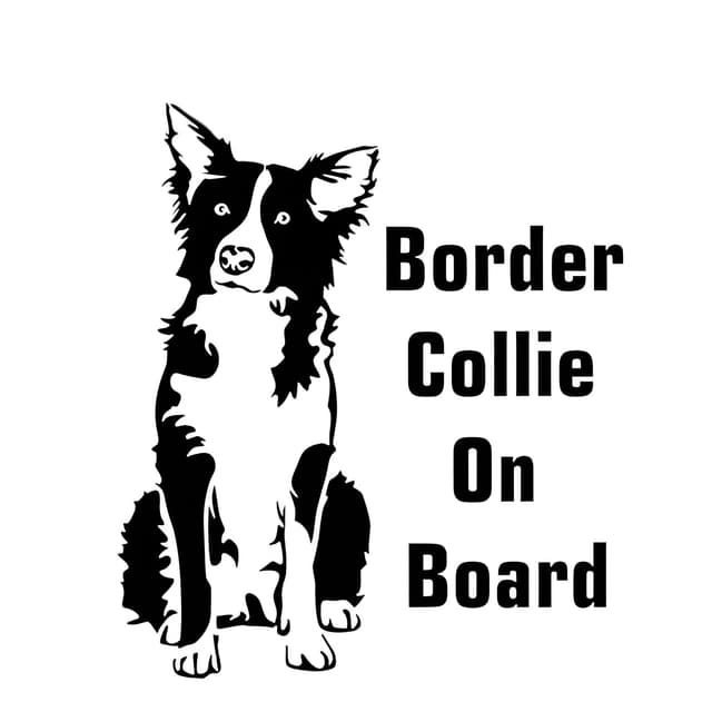 🐶 Autoaufkleber Border Collie On Board 🚗 Aufkleber 18cm - Schwarz