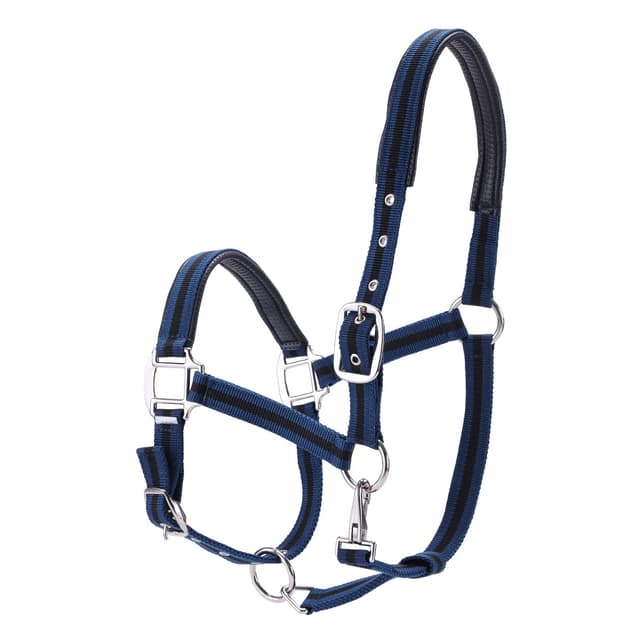 Gallopoff Halfter für Pferde 🐴🌟 Verdickter Verstellbarer Halfter, Pferdehalfter, Langlebig und Reißfest Pony Dunkelblau