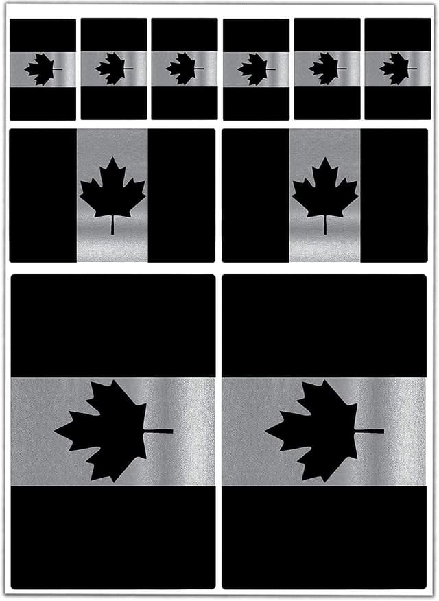 Biomar Labs® 10 x Vinyl Aufkleber Autoaufkleber Stickers Kanada Kanadische Ahornblatt Canada Silber Fahne Flagge Flag Auto Moto Motorrad Fahrrad Scooter Fenster D 66 🍁🚗🇨🇦