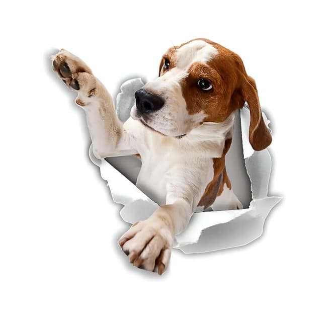 🚗🐶 Autoaufkleber 22cm Beagle Lustig 3D Zerrissen Reflektierende Aufkleber