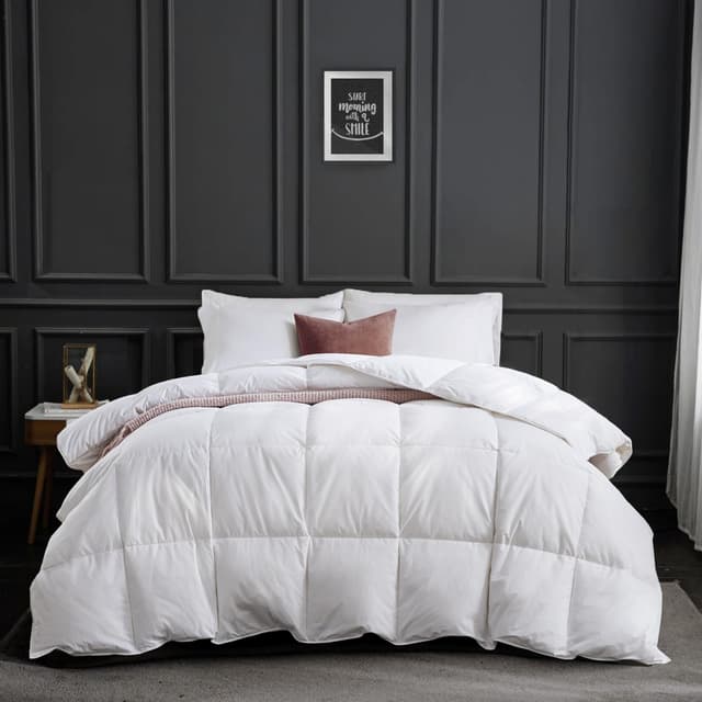 APSMILE Daunendecke 155x220 Ganzjahres Bettdecke 155x220 🛌🌟