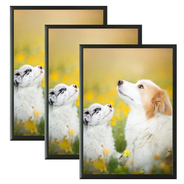 🖼️ VIIBASE A5 Zertifikat Bilderrahmen Set