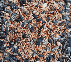 🐦🌿 Futterhof Streufutter 25 kg Premium – hochwertige Mischung 🌿🐦 Angebot bei HelloDeals