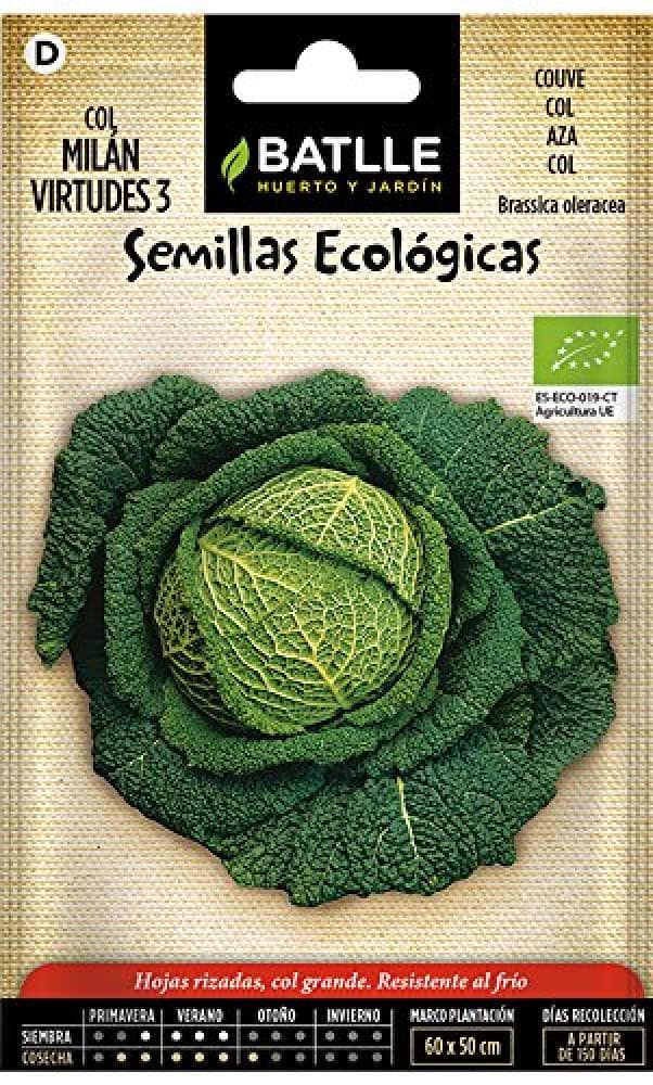 🌿 Bio Samen - Wirsingkohl virtudes 3 (225 Samen - Bio) 🌱