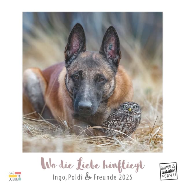 DUMONT - Ingo, Poldi und Freunde: Wo die Liebe hinfliegt 2025 Wandkalender 🐶🦉