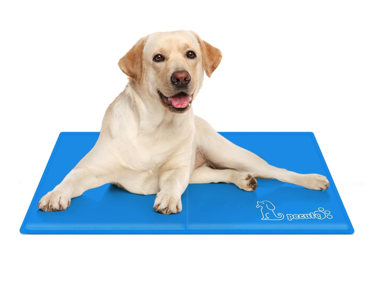 🐶😎 Pecute Kühlmatte für Hunde - Langlebig & Upgrade - Blau - 50x65 cm
