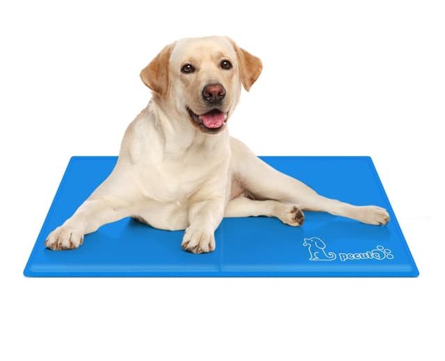 🐶😎 Pecute Kühlmatte für Hunde - Langlebig & Upgrade - Blau - 50x65 cm