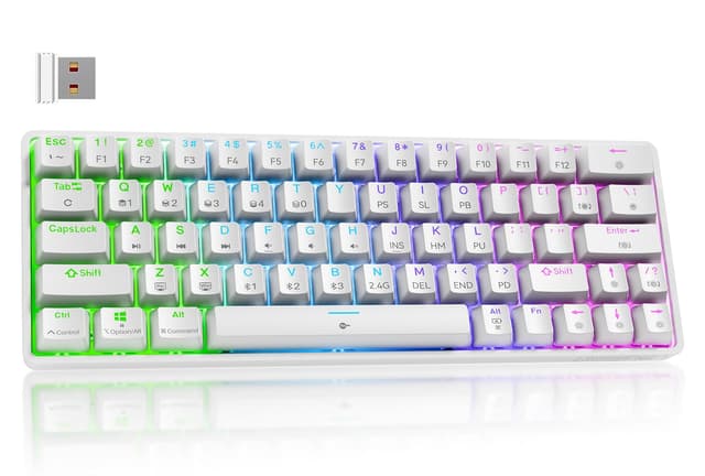 🎮 Dierya DK63 Gaming Tastatur 60% Kabellos Mechanische Tastatur mit Bluetooth/2.4G/Typ-C 🌈