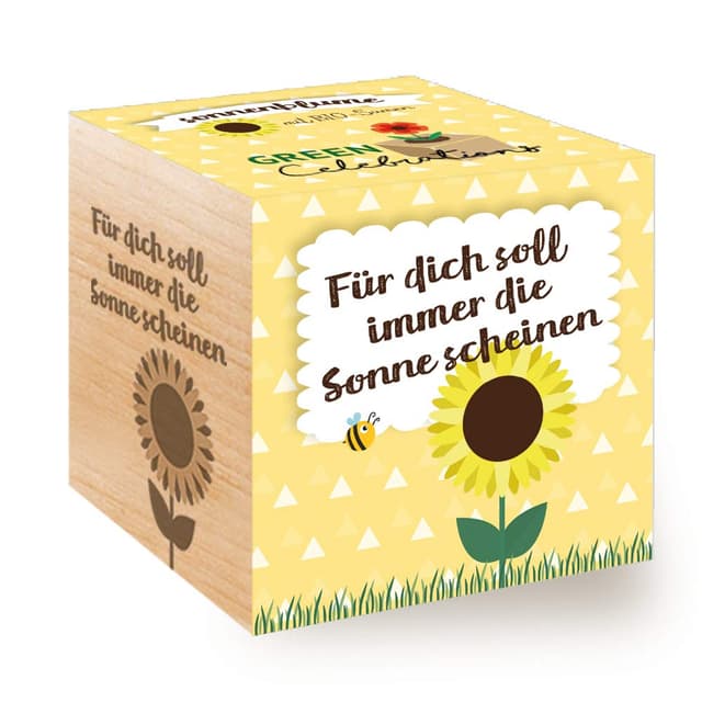 Feiere mit der Celebrations Ecocube 🌻🌱