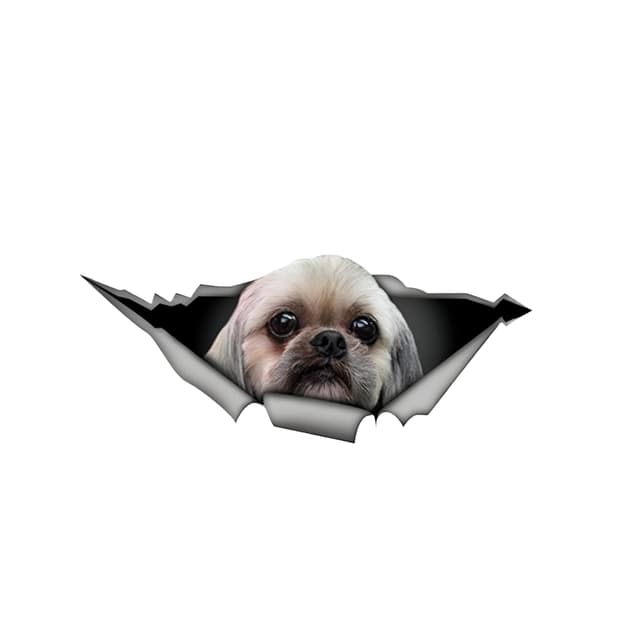 Autoaufkleber Shih Tzu 3D Zerrissen Lustig Reflektierende Aufkleber