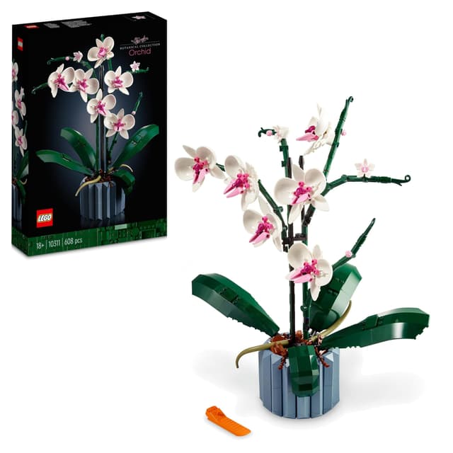 🌺🌿 LEGO Botanicals Orchidee Set - Modellbausatz für Erwachsene