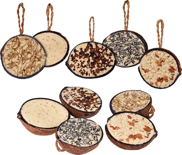 Angebot: dobar® 10x gefüllte Kokosnuss Vogelfutter zum Aufhängen - 5 Sorten - 2kg