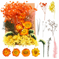 LVYUAN Wechselrichter 24V 230V 2000W 🔌🔋🔌 Angebot bei HelloDeals