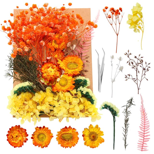 Trockenblumen Gelb Set 🌼🌿 - DIY Bastelset für Hochzeit und Heimdekoration