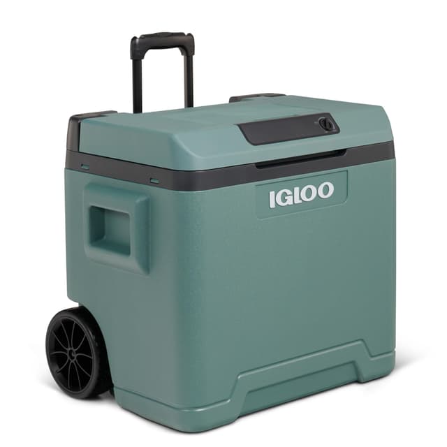 Angebot: Igloo elektrische Kühlbox 42L 12/230V Grün 🌿