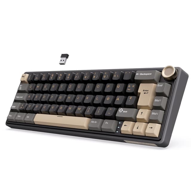 RK ROYAL KLUDGE R65 Mechanische Tastatur Kabellos 60% Gaming Tastatur QWERTZ Gasket RGB mit PBT Tastenkappen